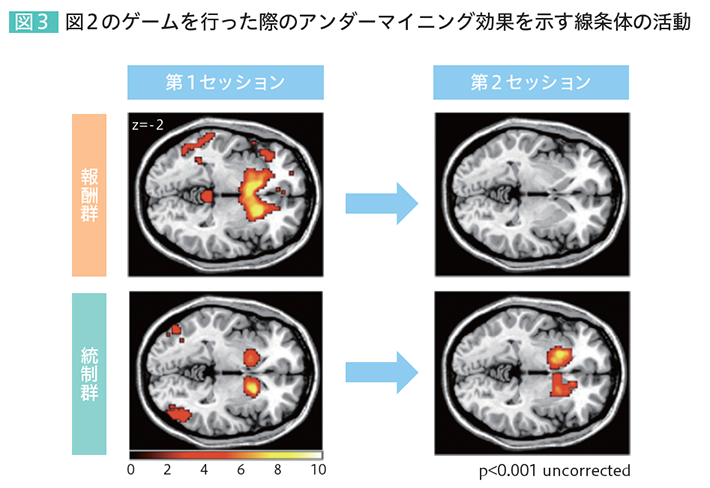 図3 図2のゲームを行った際のアンダーマイニング効果を示す綿状体の活動