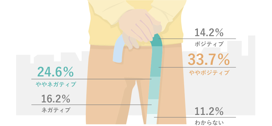 ポジティブ：14.2％ ややポジティブ：33.7％ ややネガティブ：24.6％ ネガティブ：16.2％ わからない：11.2％