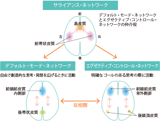サライアンス・ネットワーク デフォルト・モード・ネットワークとエグゼクティブ・コントロール・ネットワークの仲介役 エグゼクティブ・コントロール・ネットワーク 明確なゴールのある思考の際に活動 反相関 デフォルト・モード・ネットワーク 自由で創造的な思考・発想を広げるときに活動