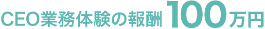 CEO業務体験の報酬100万円