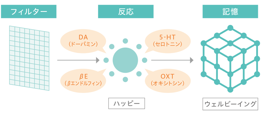 「フィルター」「反応」「記憶」の脳の3つの機能