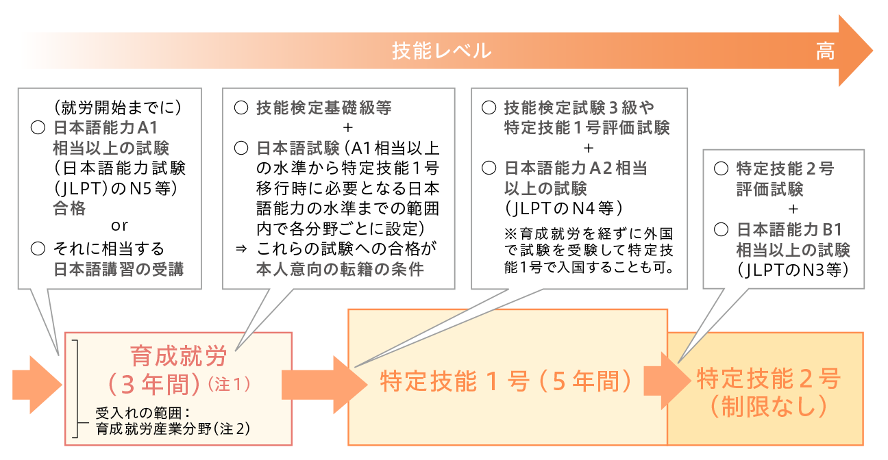 育成就労制度について